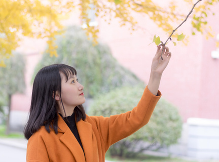 菲律宾最新的大学排名